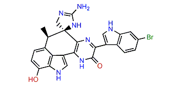 Dragmacidin E